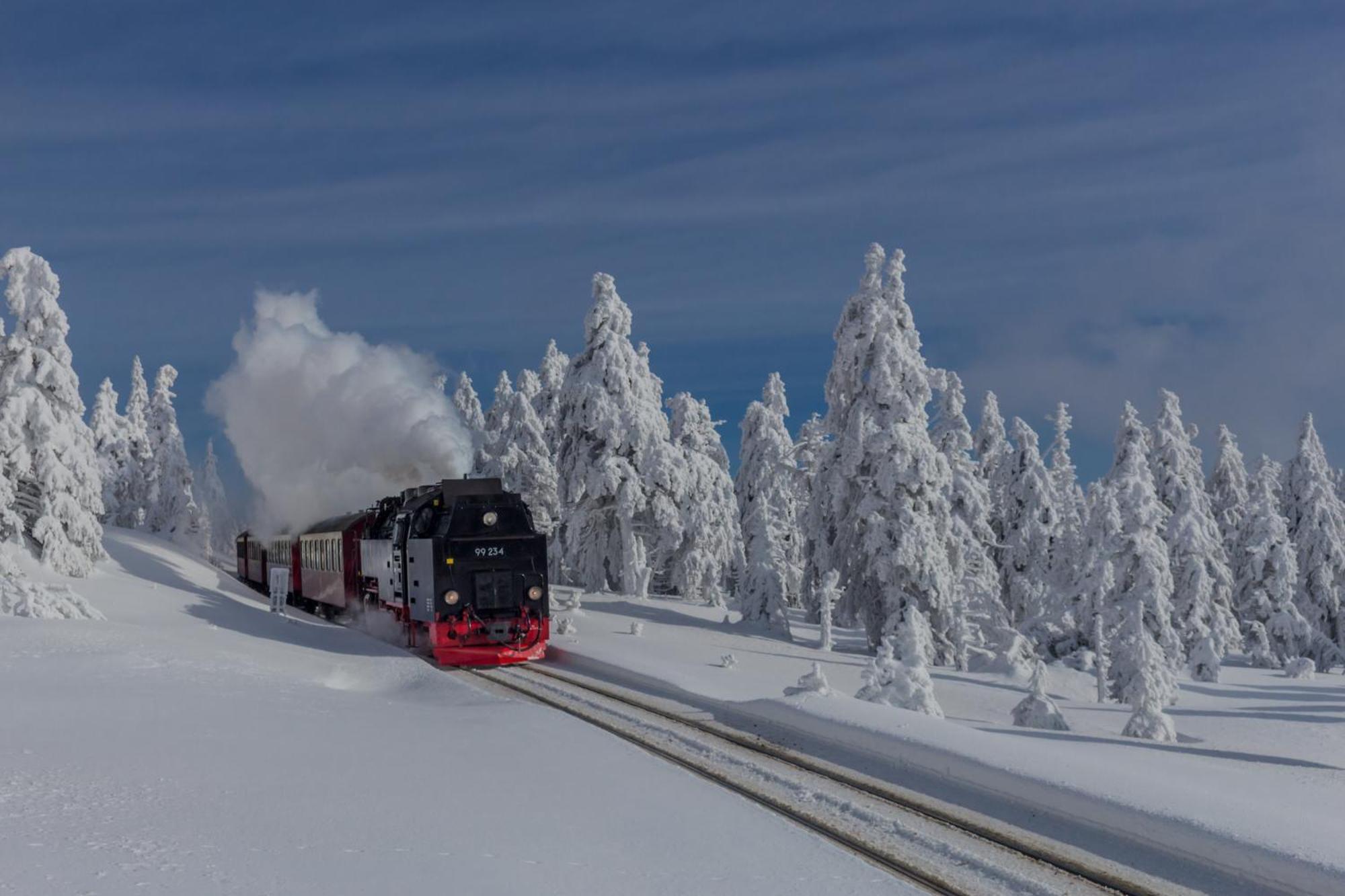 Fewo Harzgipfel Mit Dampfdusche #Innestadtnaehe#Netflix Von Harztraveler Bad Harzburg Exteriér fotografie